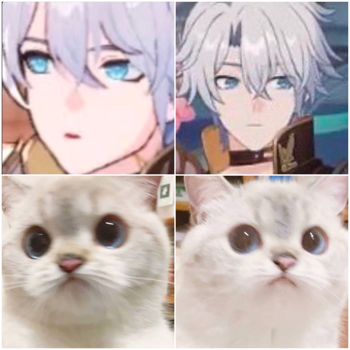 nasy | Cf22 PO Open tweet media