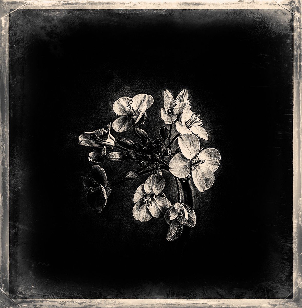 Shuichi Machimoto 町本修一。 (@machimoto19801) on Twitter photo 