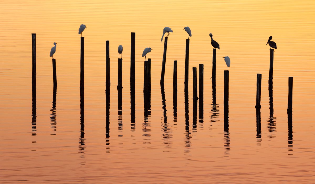 I am humbly honored to have two photos included in the 30th anniversary issue of Nature's Best Photography magazine.