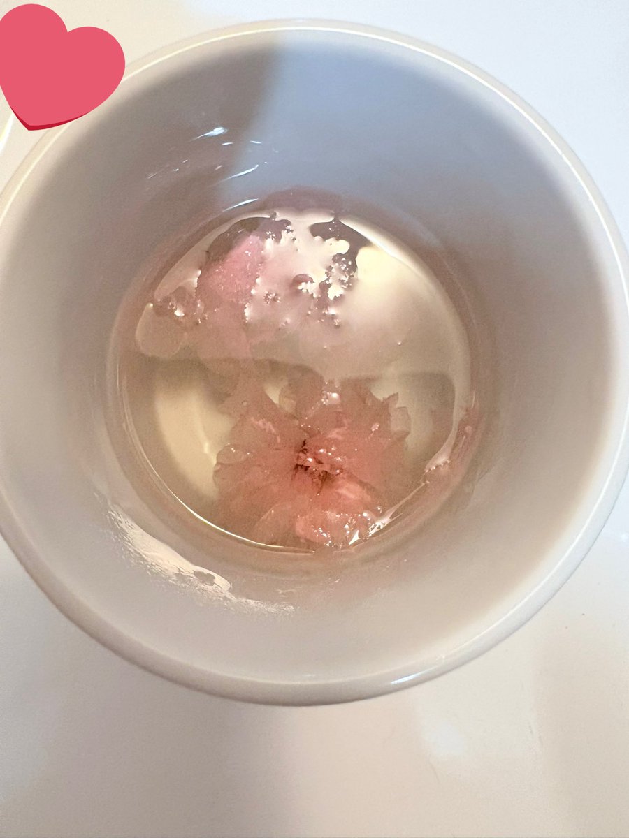 remiritte's tweet image. sakura tea was very interesting!! 🌸
light floral flavor with a little bit of salt!
for me i think this tea is more about the experience than the flavor haha