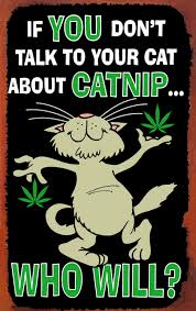 #TuesdayFeeling #cat #CatsOfX 
#LoL