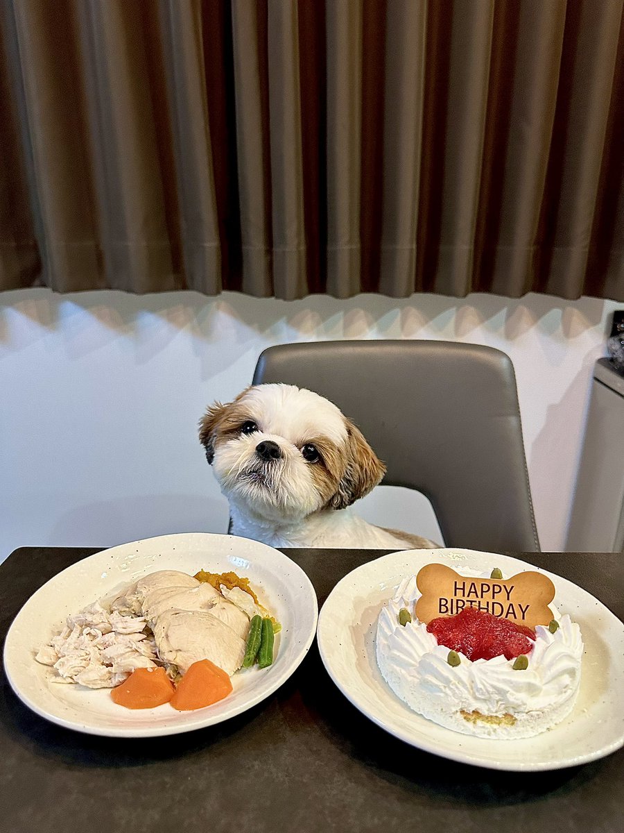 takuma_baz's tweet image. バズ誕生日おめでとう3歳！
