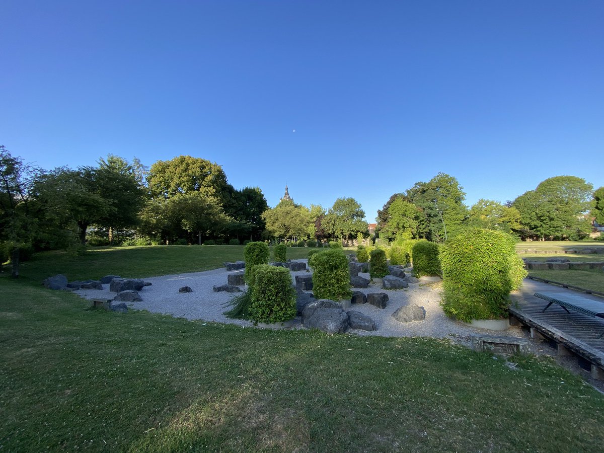 La beauté des couleurs ce matin au jardin public…
La nature nous offre chaque jour un tableau différent.