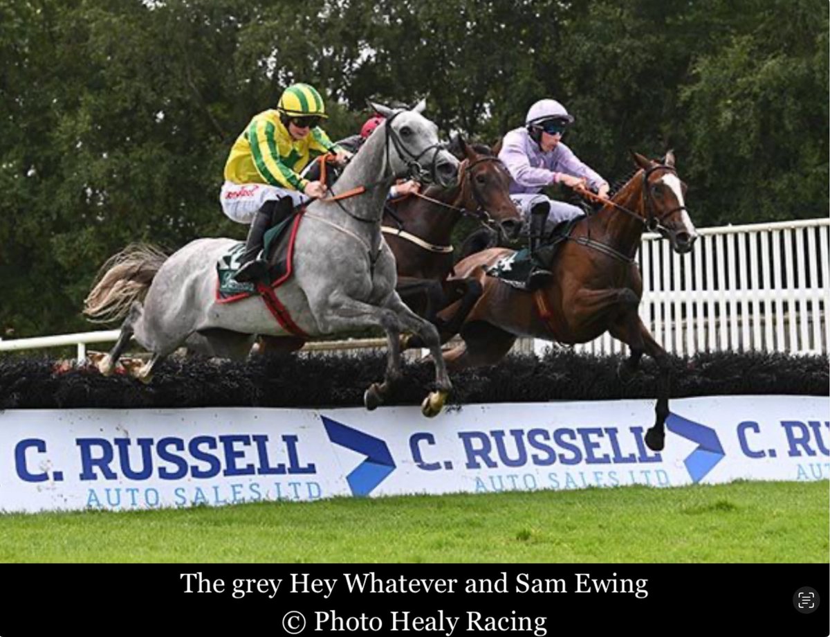 This day last year <a href="/DownpatrickRace/">Downpatrick Racecourse</a>, she was a gutsy mare and our first winner with <a href="/gelliott_racing/">Gordon Elliott</a> and <a href="/sam_ewing17/">sam ewing</a> she is missed
