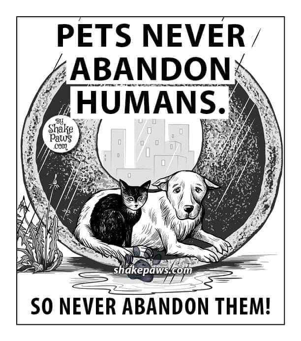 Animal Liberation Front Ⓥ (@support_the_alf) on Twitter photo 