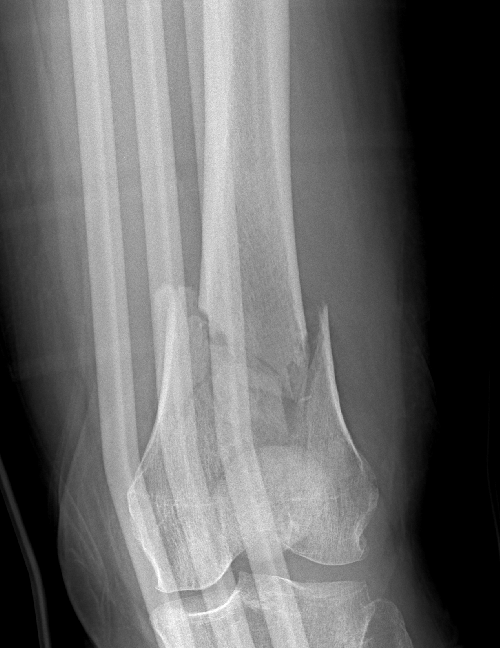 Dr. Edward Oates tweet media