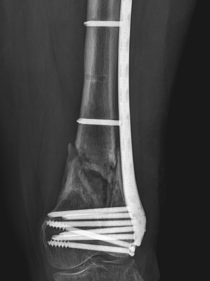 Dr. Edward Oates tweet media