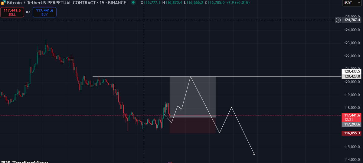 Enter Long in BTC For the Retracement and then go for short 

Entry-117300
SL-116055
TP-12400

Book your Profit Time to Time

#BTC #Ethereum #Altseason #Livetrading #Solana