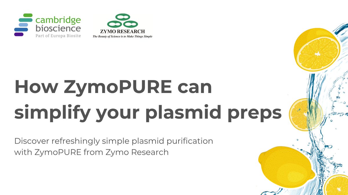 Cambridge Bioscience (@cambridgebiosci) on Twitter photo Plasmid preps shouldn’t slow you down.
ZymoPURE from <a href="/ZymoResearch/">Zymo Research</a> cuts out the hassle—with vacuum-based purification that takes under 20 minutes and delivers endotoxin-free plasmid #DNA ready for #transfection, cloning, and more.
Learn more➡️
linkedin.com/pulse/how-zymo… Plasmid preps shouldn’t slow you down.
ZymoPURE from <a href="/ZymoResearch/">Zymo Research</a> cuts out the hassle—with vacuum-based purification that takes under 20 minutes and delivers endotoxin-free plasmid #DNA ready for #transfection, cloning, and more.
Learn more➡️
linkedin.com/pulse/how-zymo…