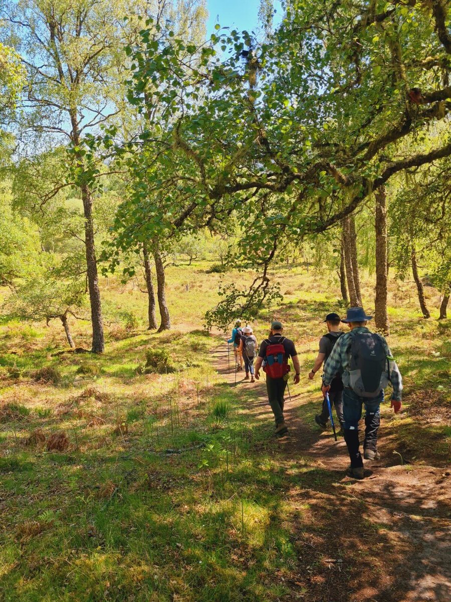 This summer step into the dappled shade of Dundreggan’s footpaths 🌳

We have a range of footpaths, from fully wheelchair accessible to steep and strenuous. Each path offers its own opportunities to experience Dundreggan’s wonderful wildlife and heritage

visitdundreggan.co.uk/explore-dundre…