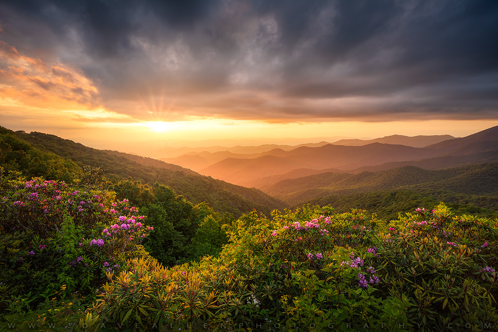 DaveAllenPhoto's tweet image. The Golden Age - Sunset along the Blue Ridge Parkway in the Southern Appalachian Mountains near Asheville, North Carolina.  Hope you enjoy the view wherever you are!  😀