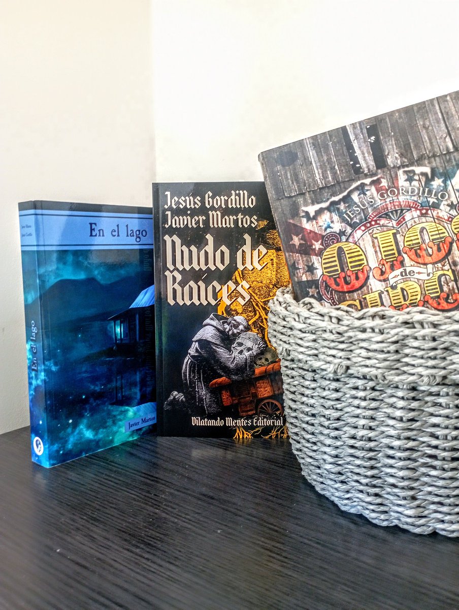 Los tres libros escritos por Jesús Gordillo y el menda lerenda:

📚 Ojos de circo
📚 En el lago
📚 Nudo de raíces