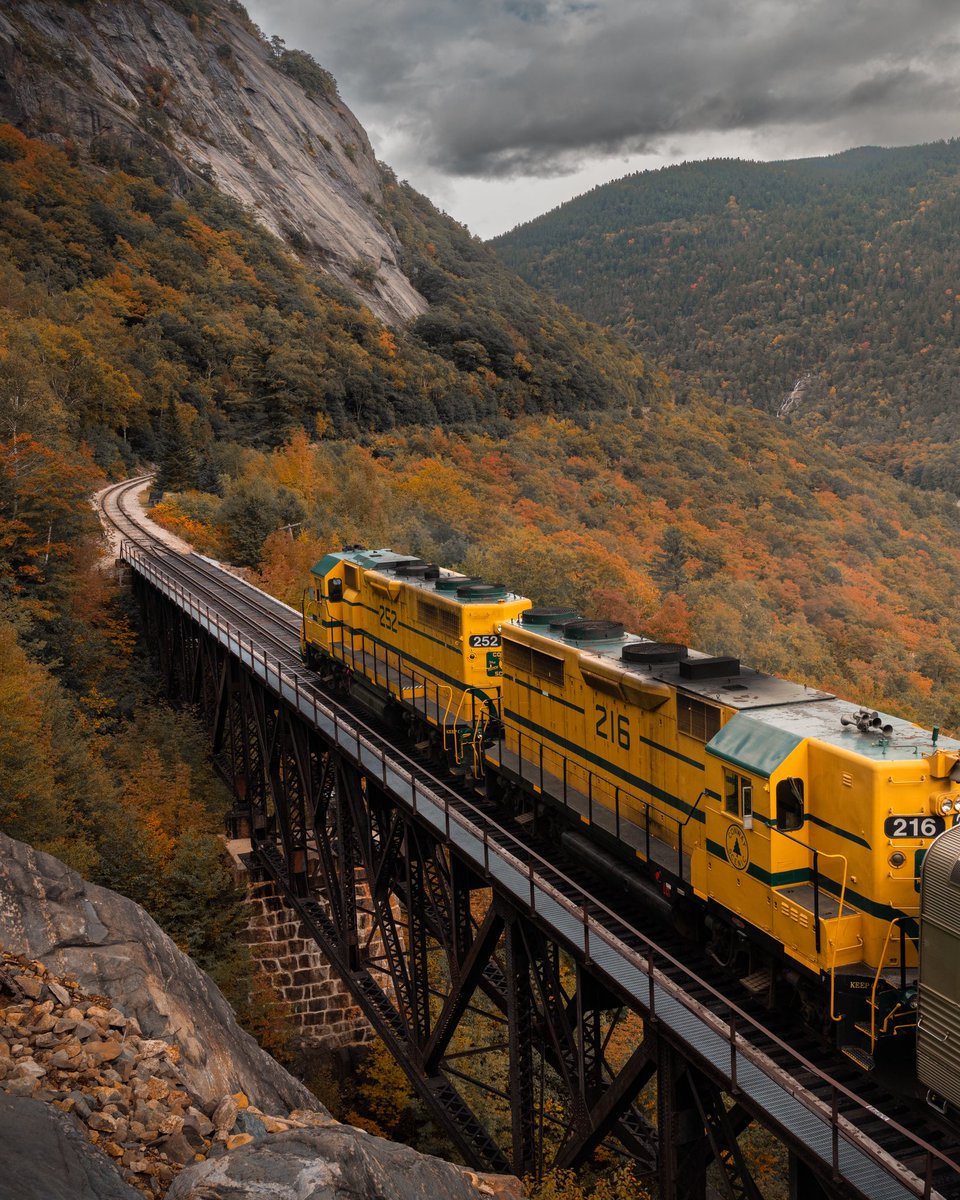 A couple of months from perfection 🍂