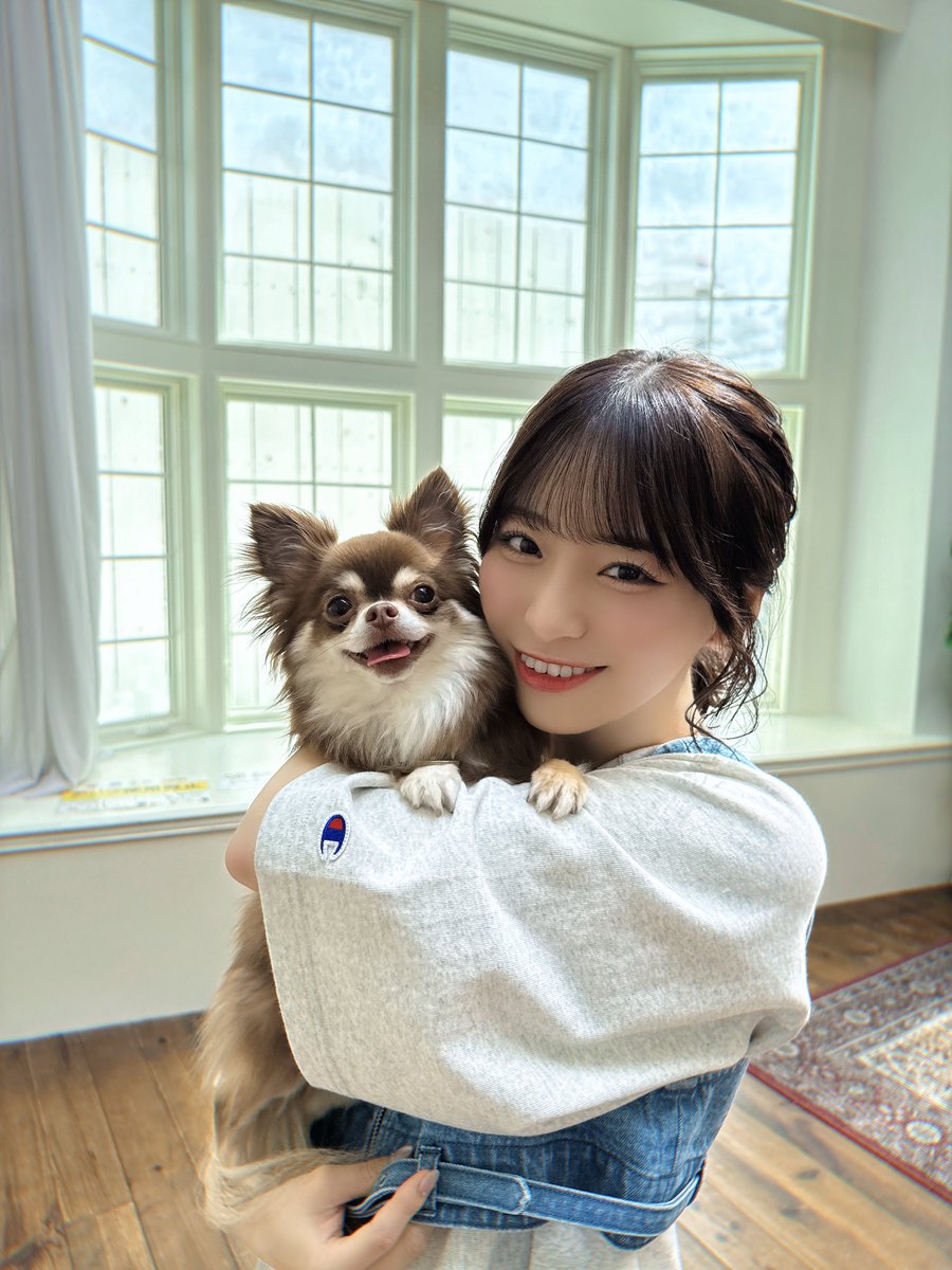 本日発売の株式会社ジェイロック 「月刊わんこvol.20」に掲載して頂い