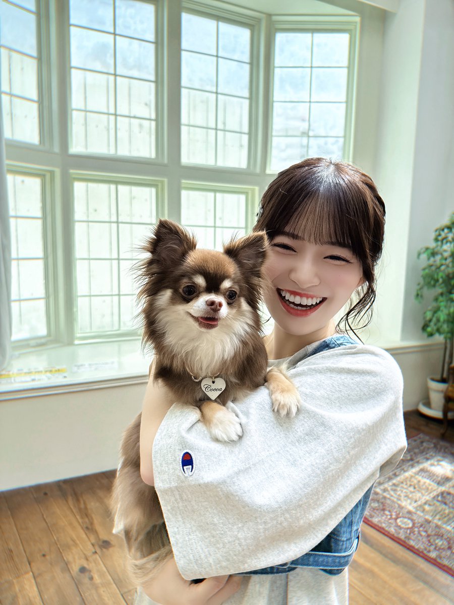 本日発売の株式会社ジェイロック 「月刊わんこvol.20」に掲載して頂い