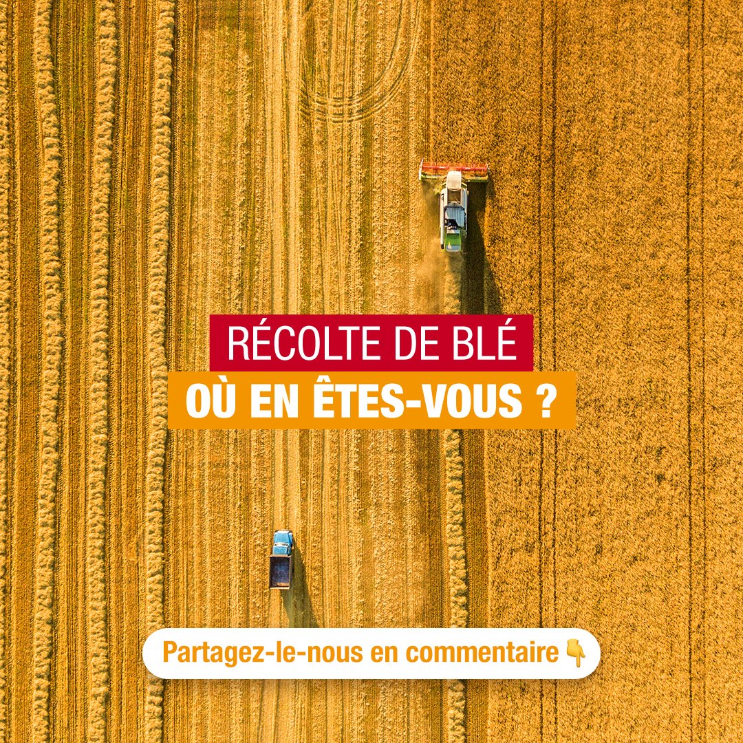 [RÉCOLTE]

Juillet marque le temps fort des moissons ! 🌾
Des mois de travail, de patience et d’expertise trouvent enfin leur aboutissement.

🚜 Vous êtes en pleine récolte de blé ? Montrez-nous les coulisses de vos moissons !

Partagez vos plus belles photos en commentaire 📸 et