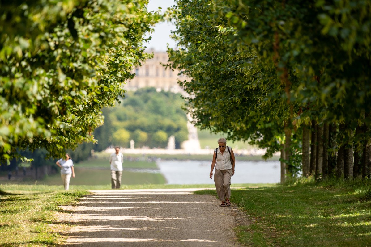 CVersailles's tweet image. ℹ Ouverture de la grille de l'Etoile Royale
🚶♂️ Un accès piéton et vélo au niveau de la grille de l'Etoile Royale est désormais possible tous les jours, de 7h à 19h30.
👉 Localiser la grille de l'Etoile Royale : bienvenue.chateauversailles.fr/fr/vue-general…
📷 EPV / Medhi Toumi