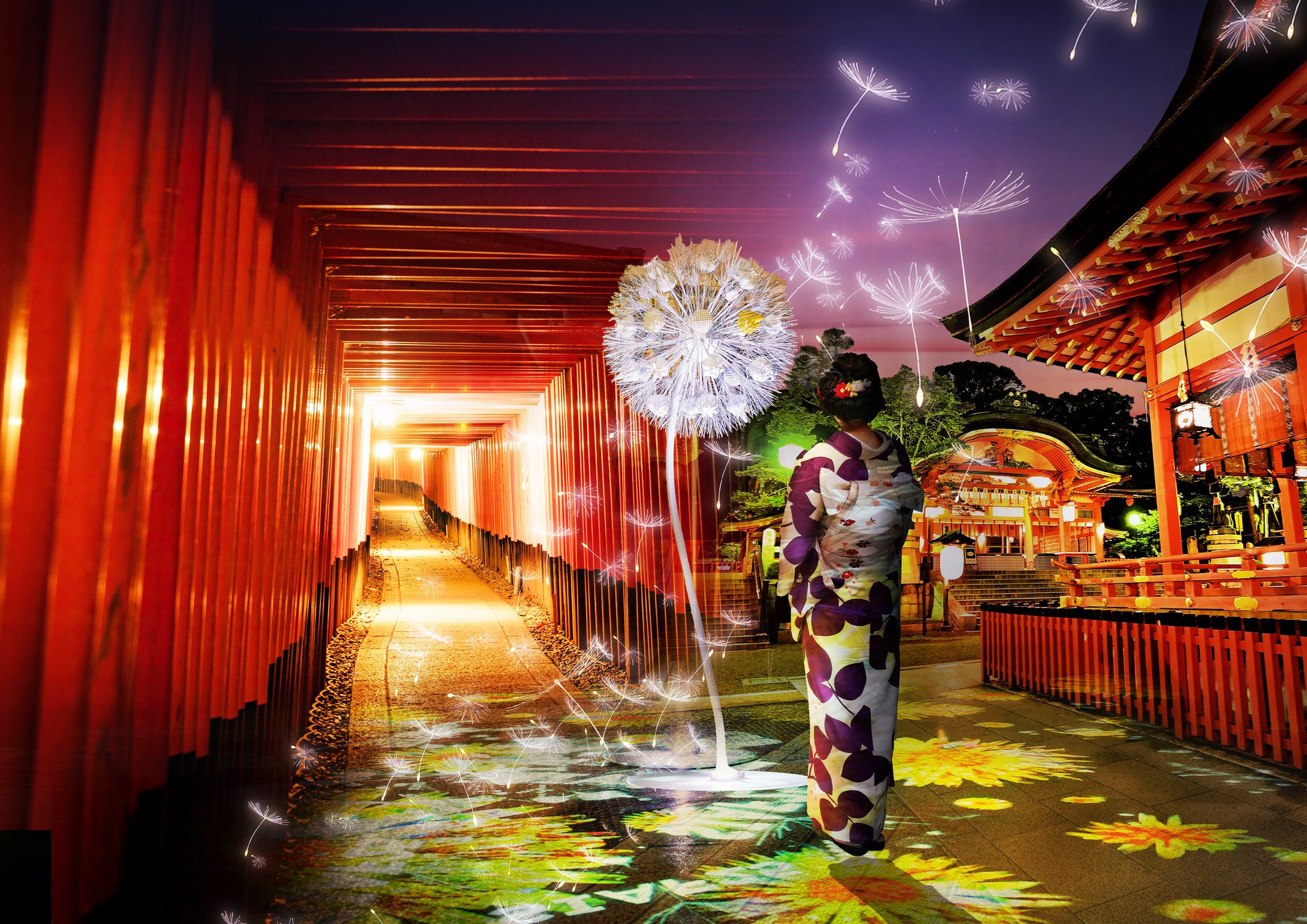maison Iwamoto 「底辺、飛翔」 b398f30d4b09f30b39453515d47df5