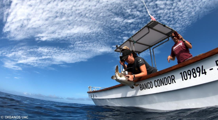 EMSOeu's tweet image. From Europe’s outer edges to the centre of ocean Science and Innovation!
REMORA is transforming La Réunion, Madeira &amp;amp; Azores into global hubs for marine science, innovation &amp;amp; blue economy.

remora.arditi.pt

#REMORAProject #BlueEconomy #OceanResearch #EMSO #DeepSea