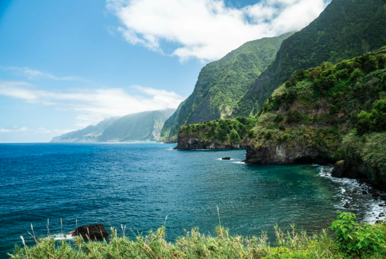 EMSOeu's tweet image. From Europe’s outer edges to the centre of ocean Science and Innovation!
REMORA is transforming La Réunion, Madeira &amp;amp; Azores into global hubs for marine science, innovation &amp;amp; blue economy.

remora.arditi.pt

#REMORAProject #BlueEconomy #OceanResearch #EMSO #DeepSea