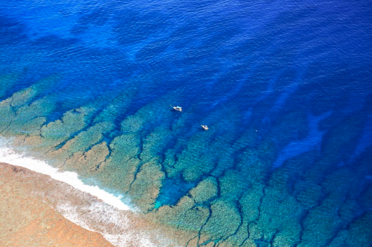 EMSOeu's tweet image. From Europe’s outer edges to the centre of ocean Science and Innovation!
REMORA is transforming La Réunion, Madeira &amp;amp; Azores into global hubs for marine science, innovation &amp;amp; blue economy.

remora.arditi.pt

#REMORAProject #BlueEconomy #OceanResearch #EMSO #DeepSea