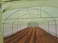 IImbaraga's tweet photo. Greenhouse established of Green pepper in  Rwimbogo sector-Gatsibo district under THRIVE Project https://t.co/4vP3IUCAgS
