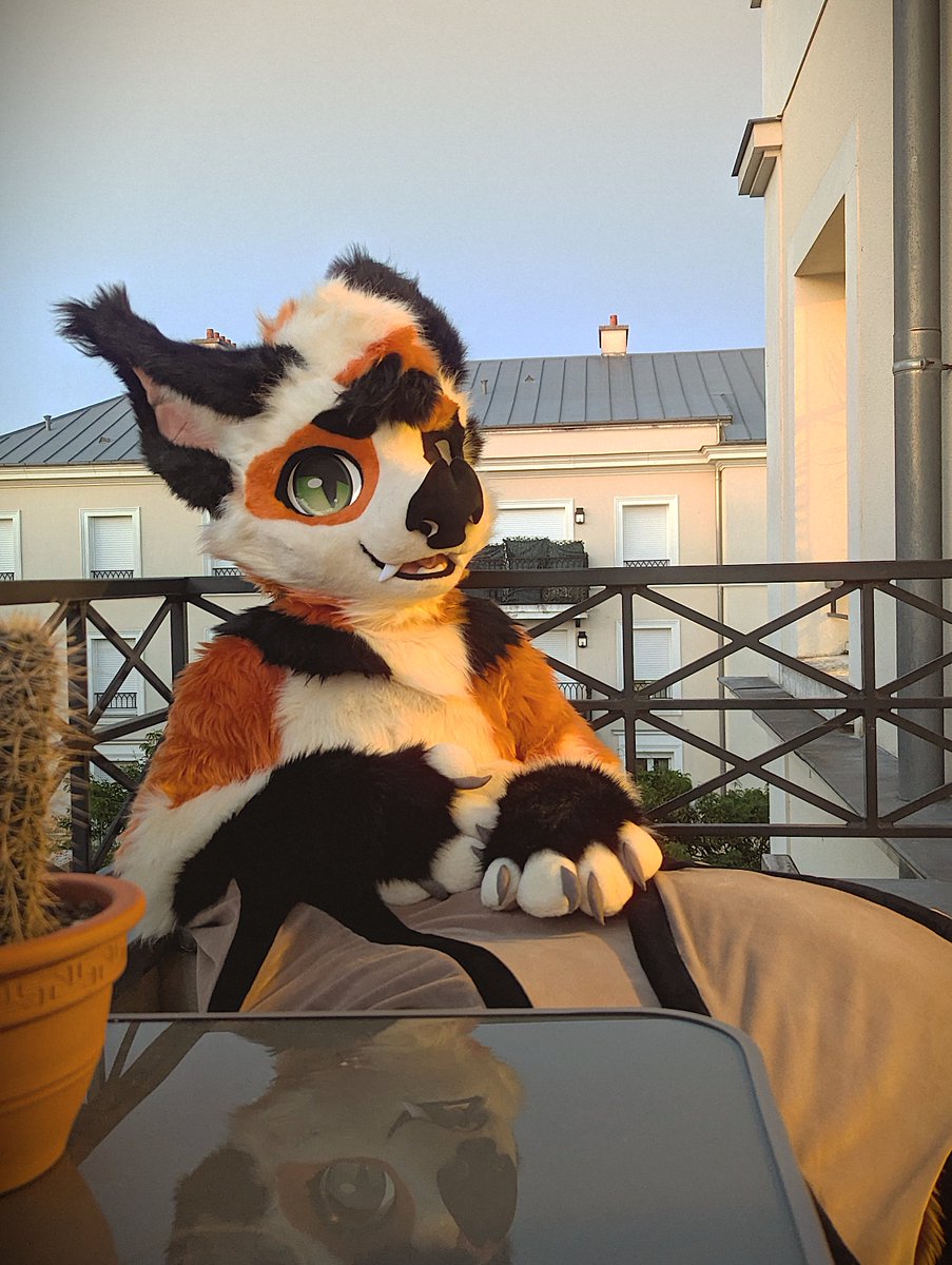 I got my fursuit!! I’m so happy 🧡
Kaparo has finally come out of his cave!! 🦇

Huge thanks to <a href="/GentleFurStudio/">GentleFurStudio</a> ✂️ for making this real!

📷: <a href="/Hatigre_/">Hatigre</a>