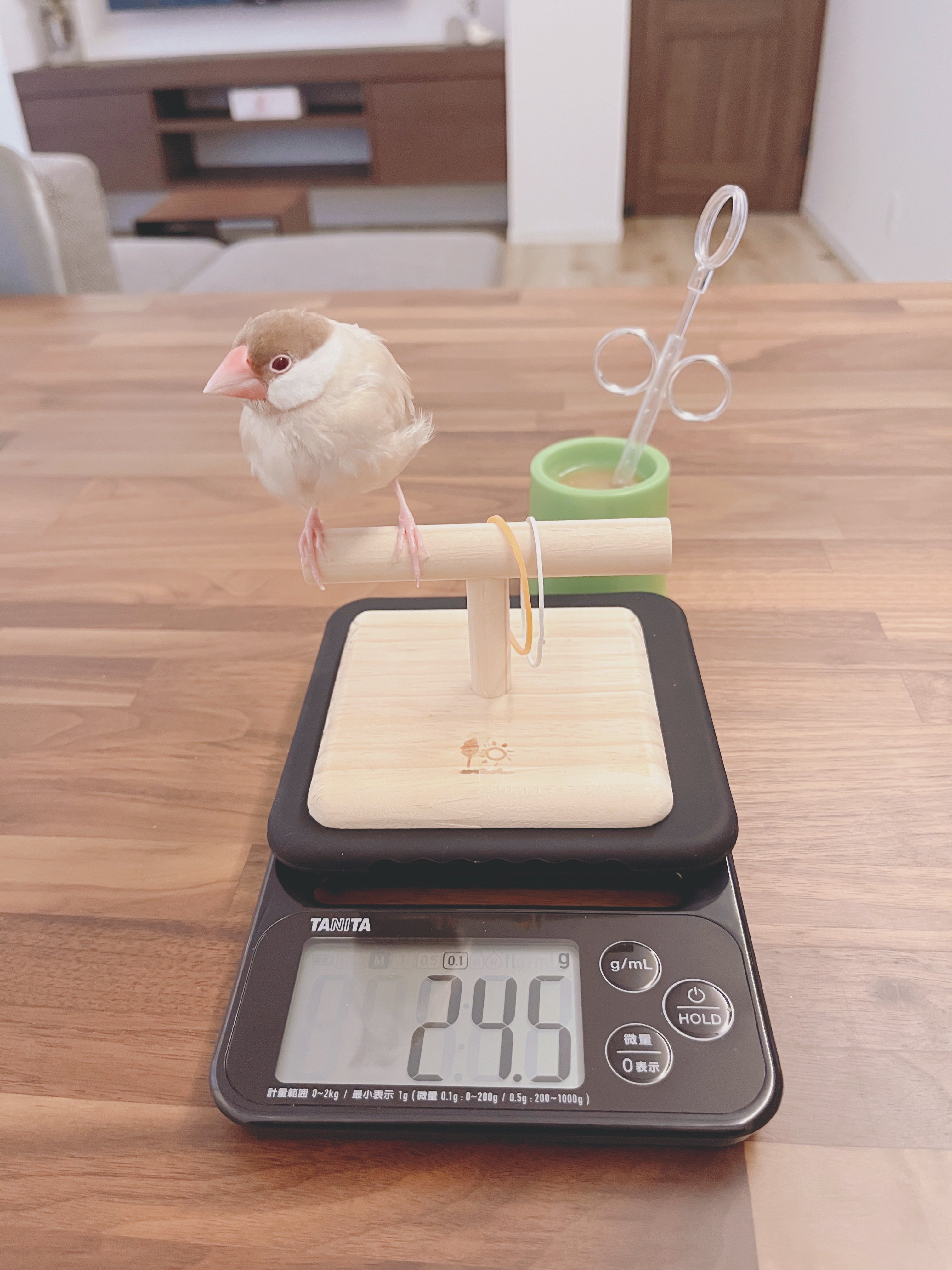 GANGSTA.BVC限定　原作者コースケ描き下ろし　アートボード　ウォリック 2025年最新】gangsta. コースケの人気アイテム - メルカリ