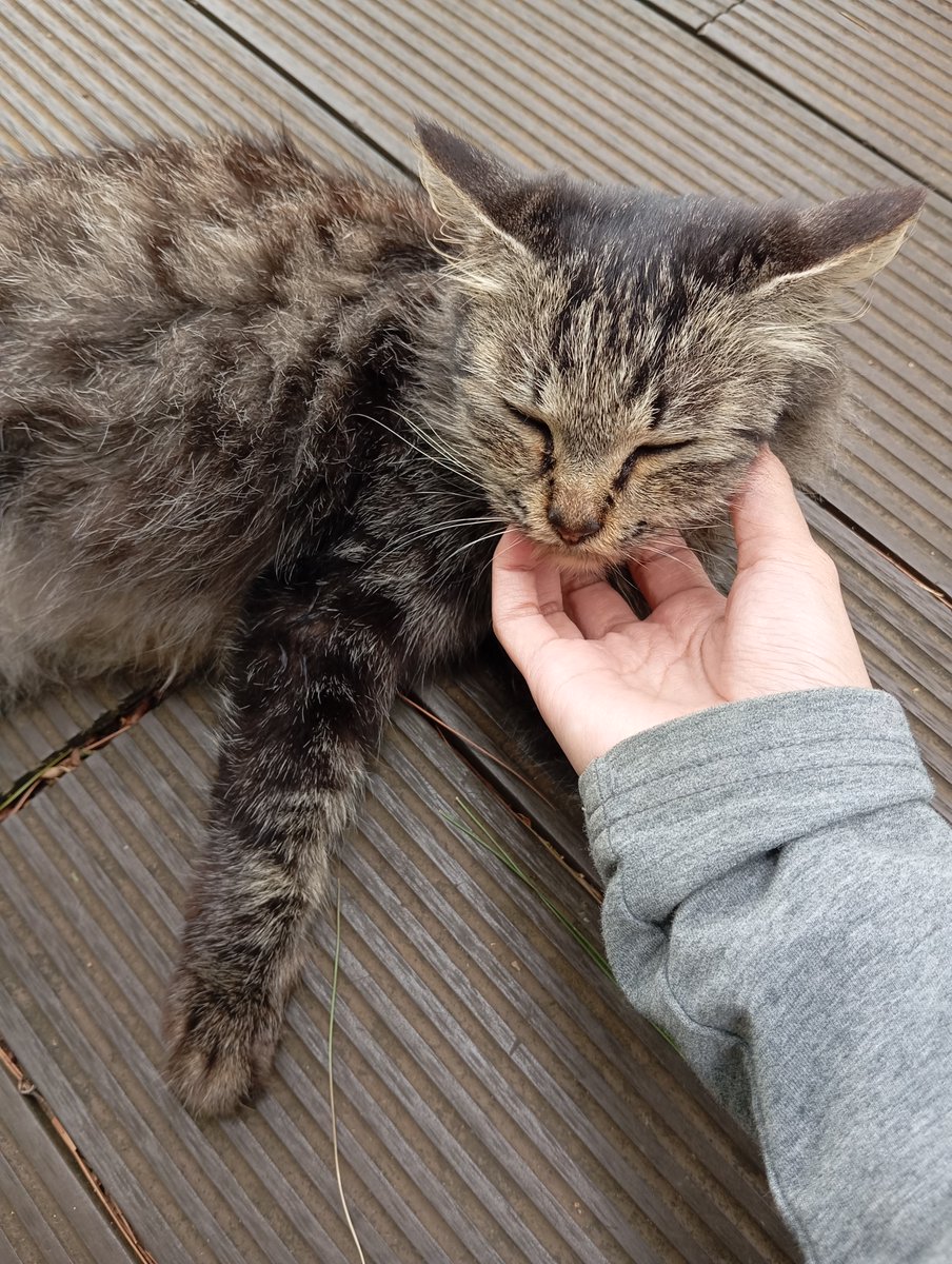 Rheaaa 𖹭 tweet media