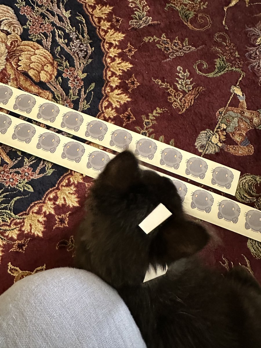 Guess who is supervising our work?
Koro himself 🐈‍⬛🍓