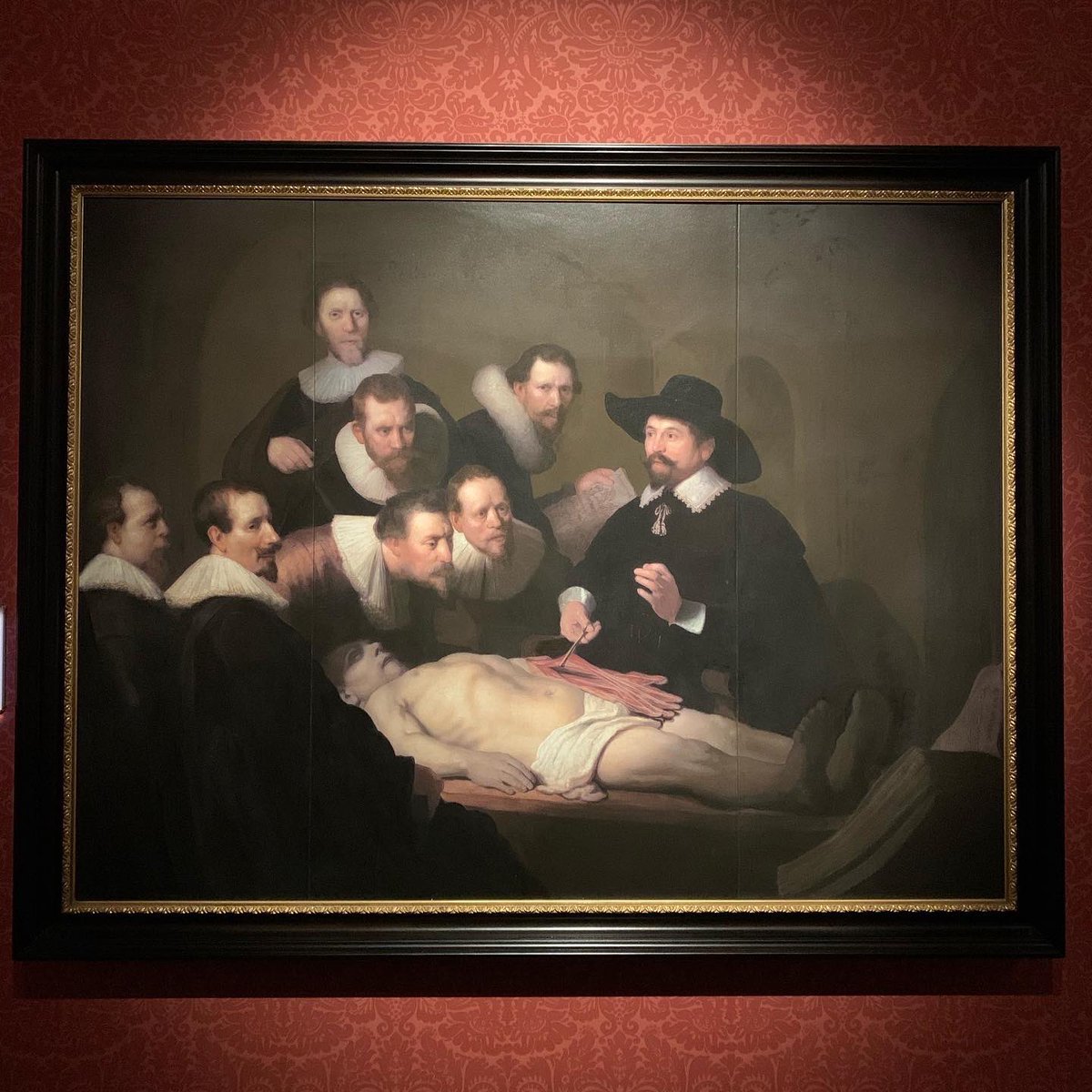 オランダ - Search / X