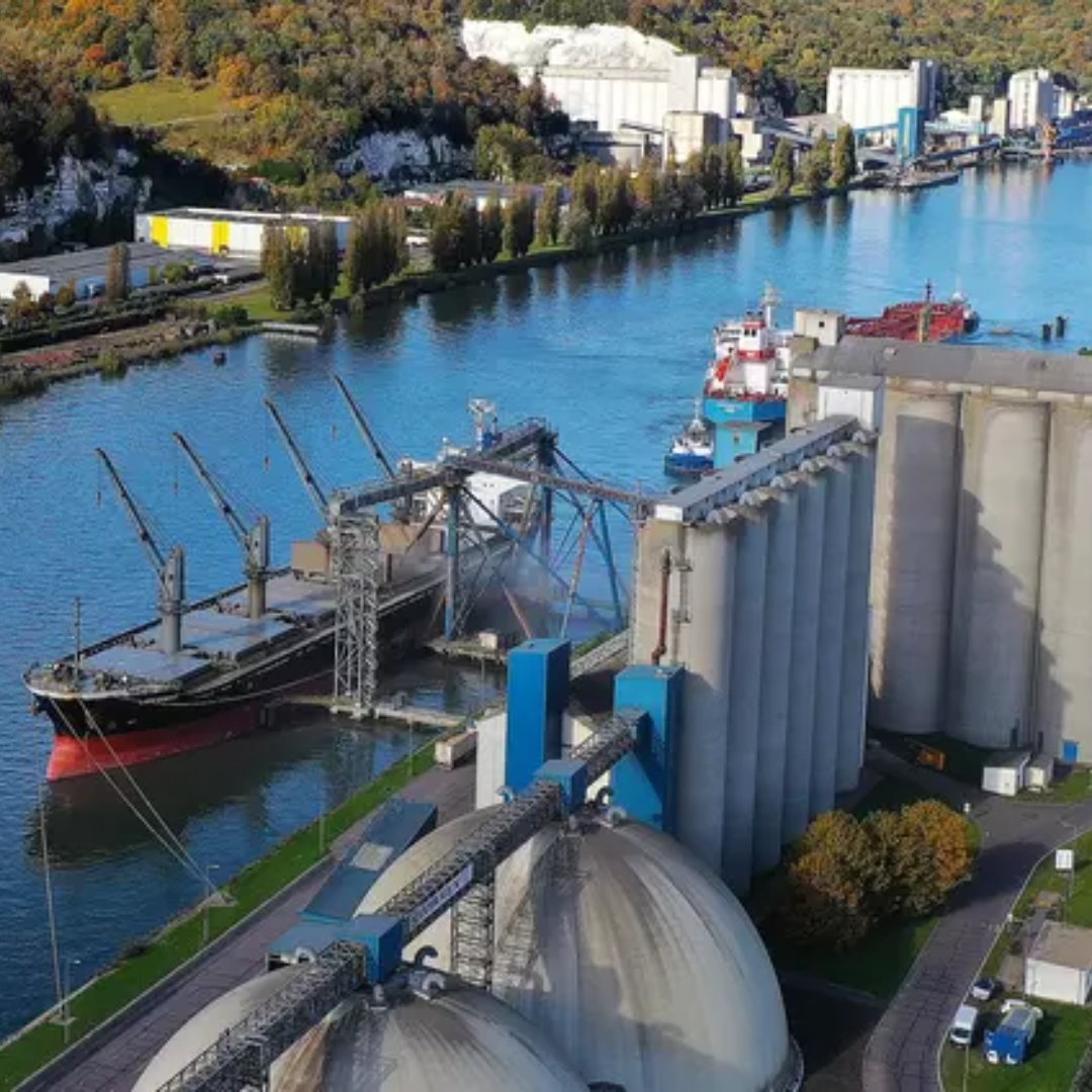 Agro Paris Bourse (@agroparisbourse) on Twitter photo 🌾 <a href="/haropaport/">HAROPA PORT</a> a exporté 5,21 Mt de céréales en 2024-2025 depuis le port de Rouen, dû à un regain au 1er semestre 2025 :↗️demande + prix attractifs.
Malgré une récolte en baisse, sa part de marché grimpe à 54 %
Blé, orge et maïs, le Maroc🇲🇦 devient la 1ère destination 🌾 <a href="/haropaport/">HAROPA PORT</a> a exporté 5,21 Mt de céréales en 2024-2025 depuis le port de Rouen, dû à un regain au 1er semestre 2025 :↗️demande + prix attractifs.
Malgré une récolte en baisse, sa part de marché grimpe à 54 %
Blé, orge et maïs, le Maroc🇲🇦 devient la 1ère destination