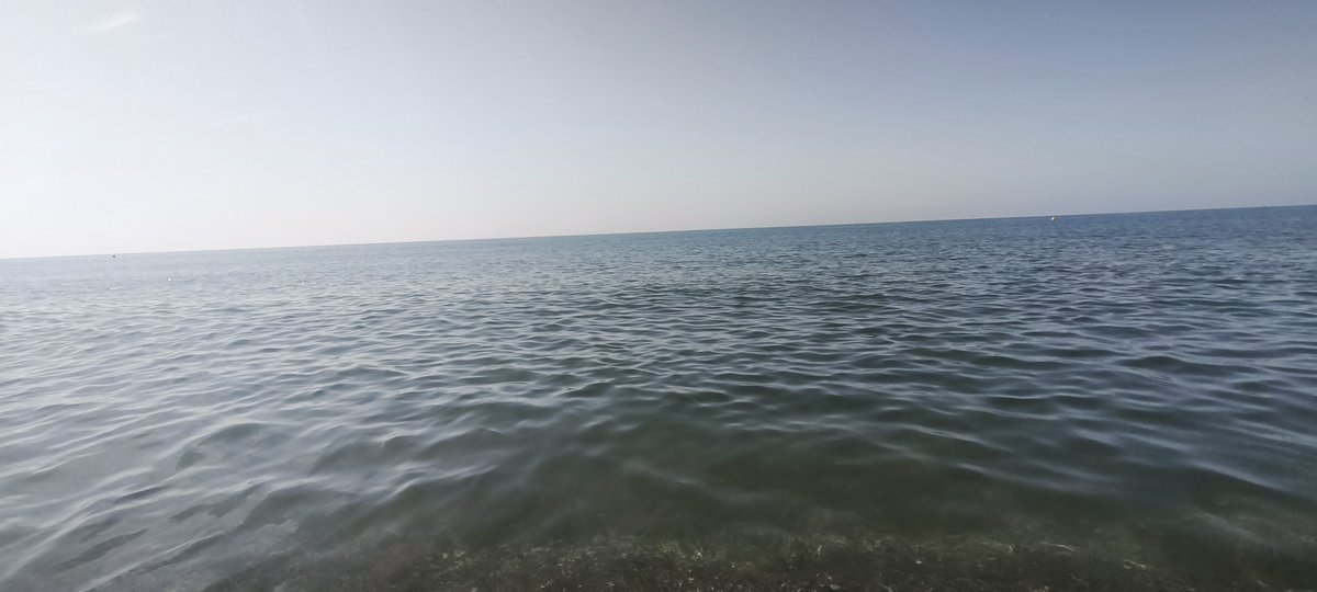 facebook.com/media/set/?set…