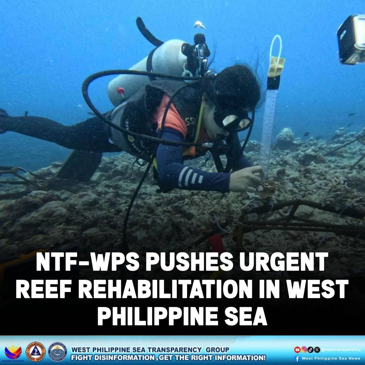 wpstransparency's tweet image. ๐๐๐
-๐๐๐ ๐๐๐๐๐ ๐๐๐๐
๐๐๐๐๐๐๐๐๐๐๐๐๐๐ ๐๐ ๐๐๐๐ ๐๐
๐๐๐๐๐๐๐๐๐๐๐๐๐ ๐๐๐๐๐๐ ๐๐ ๐๐๐๐ ๐๐๐๐๐๐๐๐๐๐ ๐๐๐
The National Task Force for the West Philippine Sea (NTF-WPS) has voiced strong support for reef rehabilitationโฆ