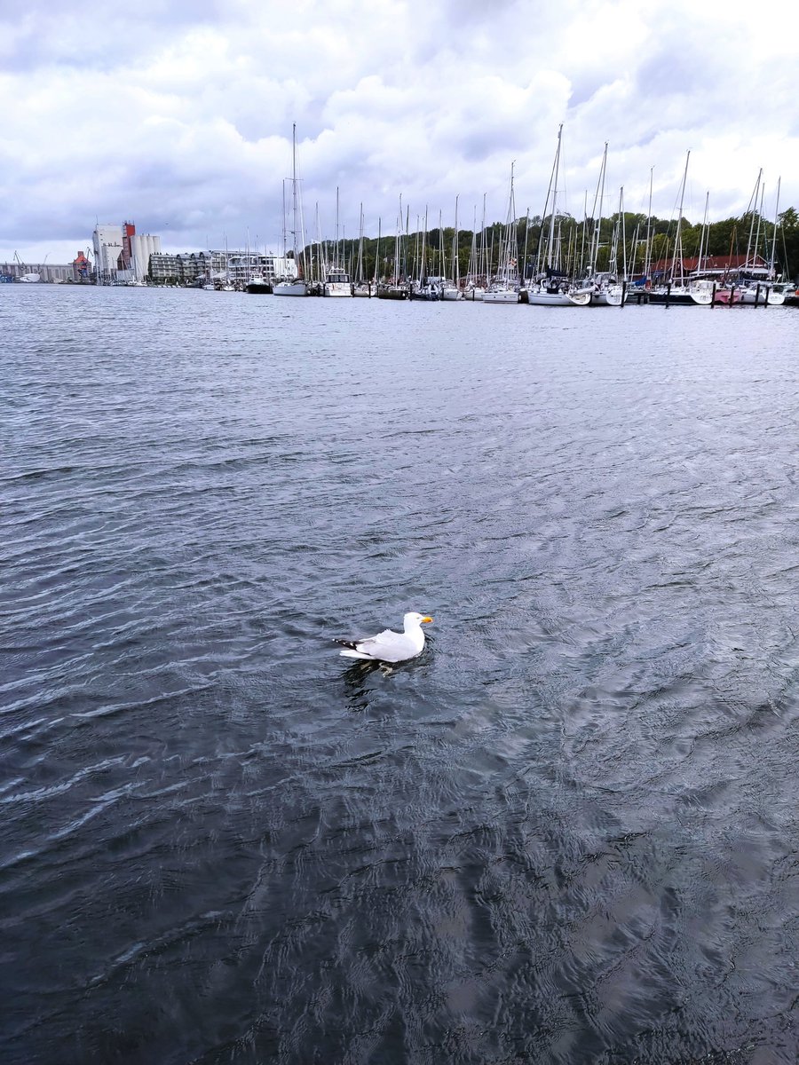 Mittwoch tweet media