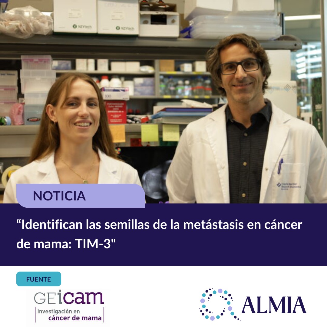 ALMIA Cáncer Metastásico (@almiacm) on Twitter photo 🔬 INVESTIGACIÓN | Investigadores del <a href="/hospitaldelmar/">Hospital del Mar</a> y <a href="/GEICAM/">GEICAM - Cáncer de mama</a> identifican las semillas de la metástasis en cáncer de mama: TIM-3, una nueva diana terapéutica para prevenir su aparición
#MásTiempoParaVivir #CáncerMamaMetastásico
cancermetastasico.es/nueva-diana-pa… 🔬 INVESTIGACIÓN | Investigadores del <a href="/hospitaldelmar/">Hospital del Mar</a> y <a href="/GEICAM/">GEICAM - Cáncer de mama</a> identifican las semillas de la metástasis en cáncer de mama: TIM-3, una nueva diana terapéutica para prevenir su aparición
#MásTiempoParaVivir #CáncerMamaMetastásico
cancermetastasico.es/nueva-diana-pa…