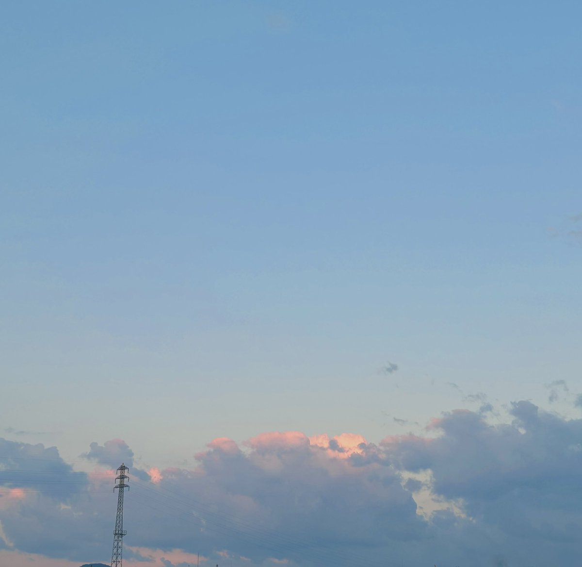 桃色の雲ページです♪ みぃ🐣〇〇 on X: 