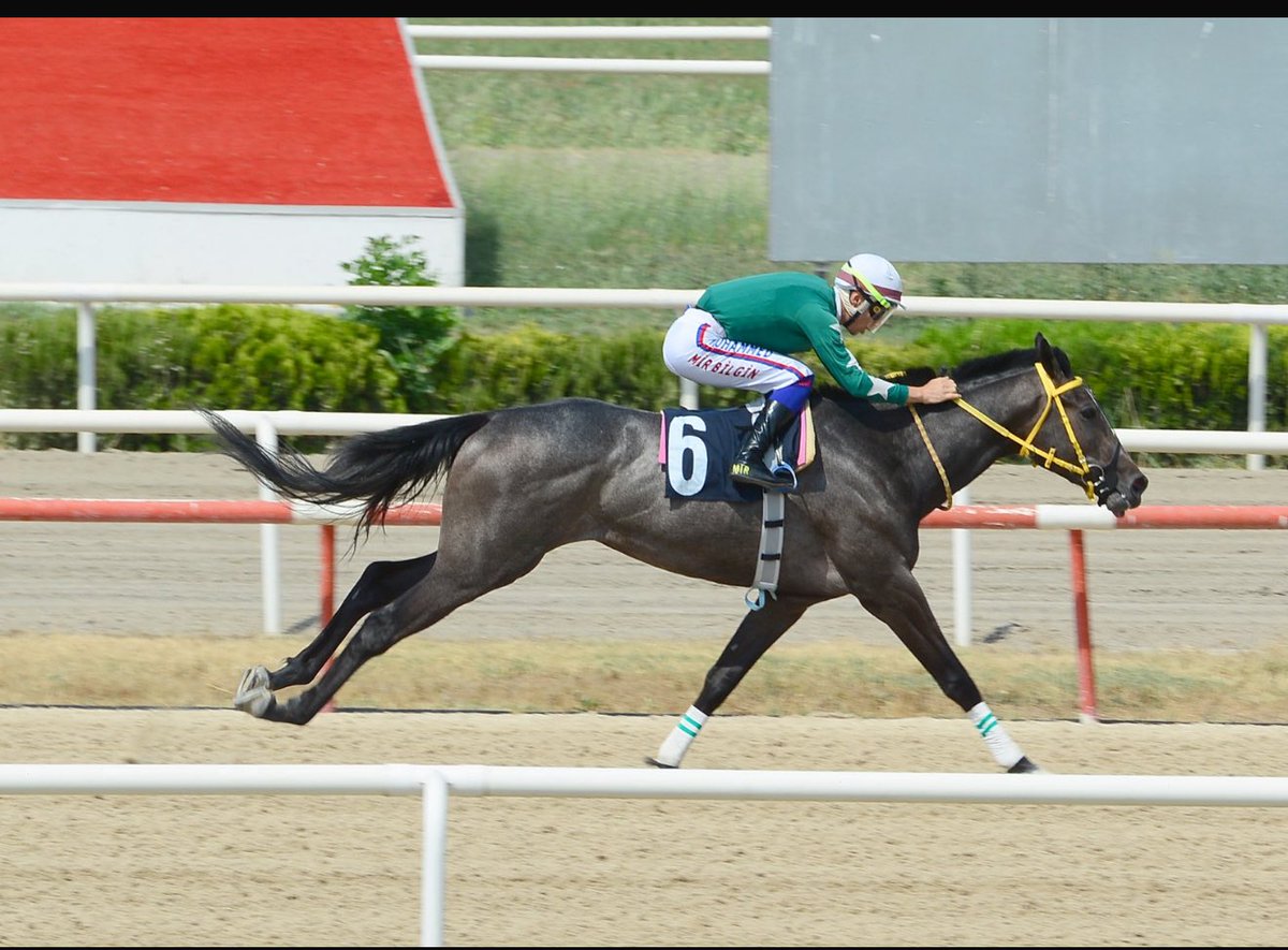 Merhaba tüm at sevgisi besleyen, emekçilerine ve yarışseverlere.
Narman ekürisi olarak bugün itibarıyla X platformunda olacağız.
Bünyemize kattığımız tayları ve fikirlerimizi keyifle paylaşmak burada güzel vakitler geçireceğiz.
Hepimize faydalı olması dileğiyle…