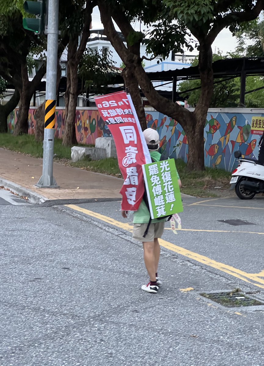 tsaiid's tweet image. 路上看到徒步宣傳的阿伯，花蓮人加油。大罷免大成功。