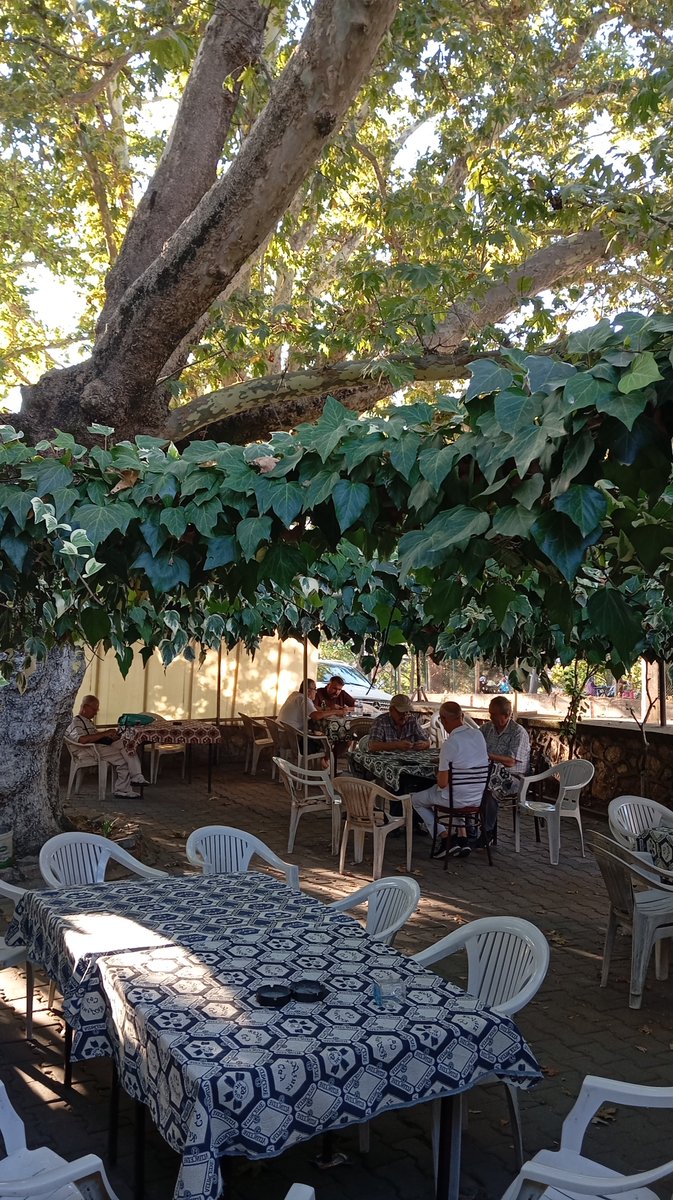 İsmet Paşa'nın devririyasetinde,
1948'de Bursa'ya sürgüne yollanan
 Aziz Nesin'in "Param varsa üst üste bikaç bardak çay daha içiyorum." dediği Bahçeli Kahve.