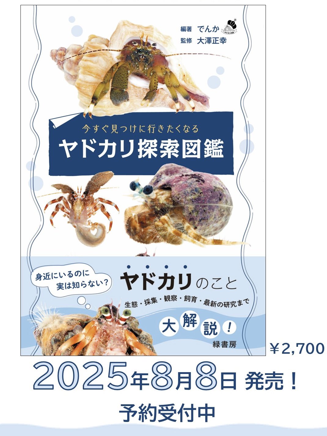 【中古】 海の生き物の飼い方 カニやヤドカリだけじゃない海にはいろんな生き物がい/成美堂出版/富田京一 中古】 海の生き物の飼い方 カニやヤドカリだけじゃない海には