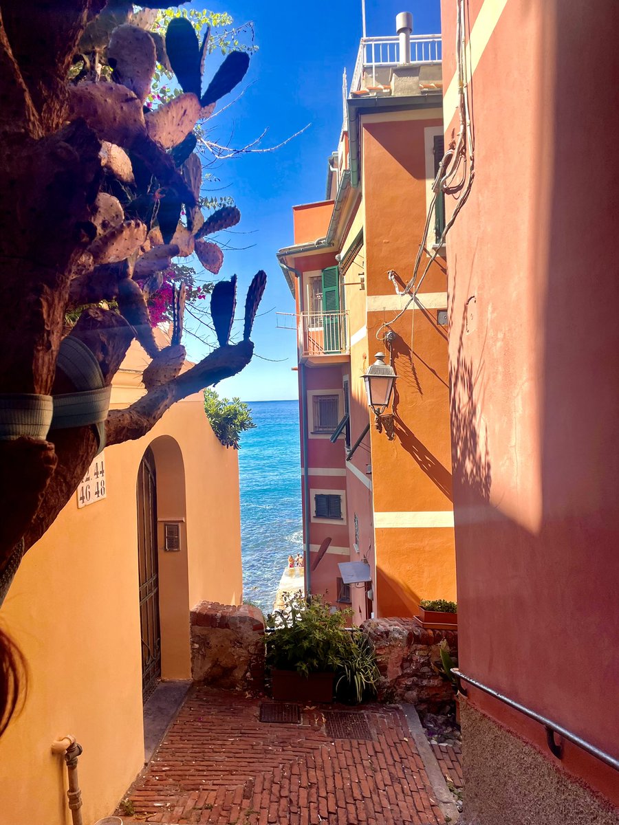 🧚‍♀️ tweet media