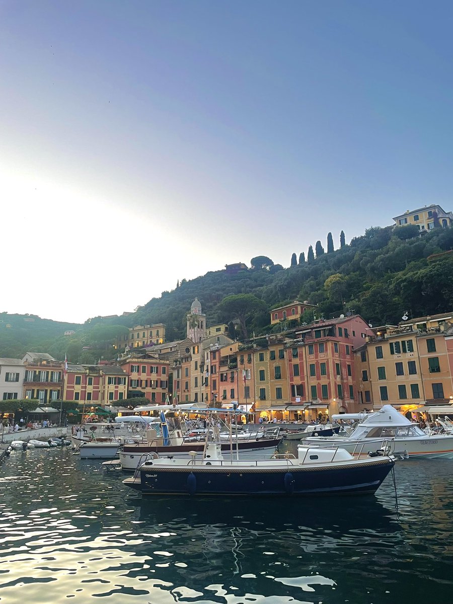 🧚‍♀️ tweet media