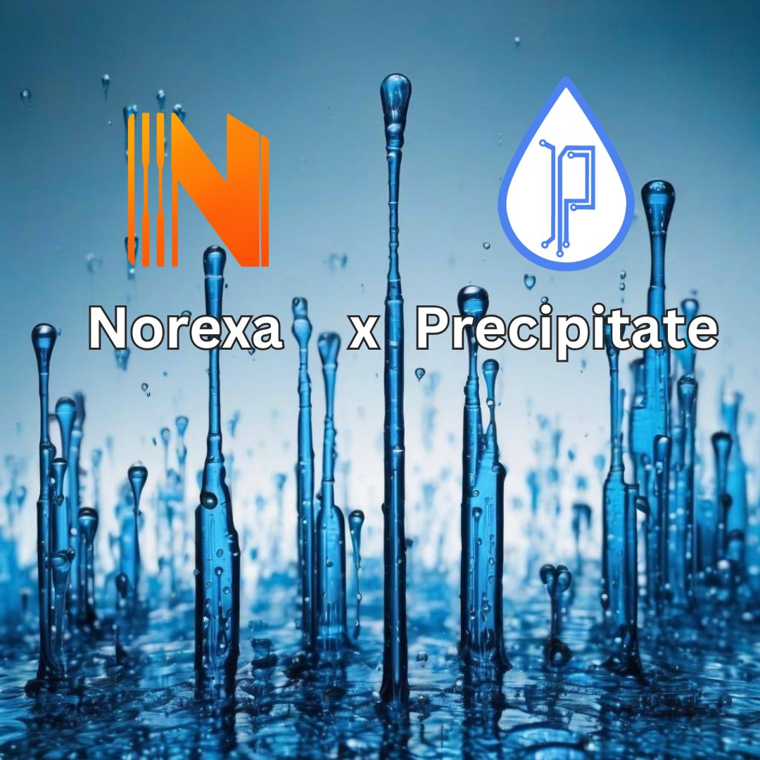 PrecipitateAI's tweet image. 🤝 Partnership Announcement: @PrecipitateAI x @NorexaAI
AI Infrastructure meets Autonomous DeFi
We're excited to announce our strategic partnership with Norexa - bringing together cutting-edge AI Blockchain Infrastructure with autonomous DeFi.
The Alignment:
Norexa powers…