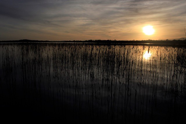 Lough Carra, a Marl Lake in County Mayo
▸ lttr.ai/AgdQu

#Ireland #WildAtlanticWay #Mayo