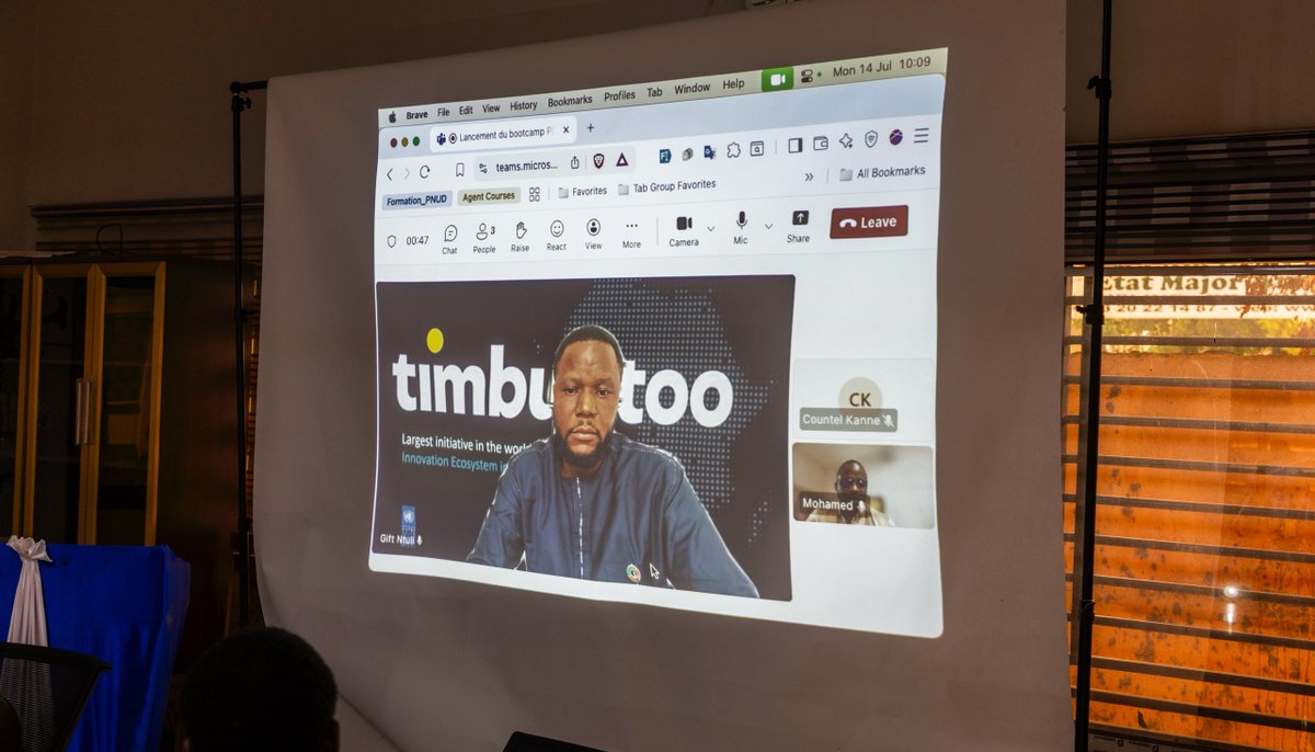 PNUD MALI tweet media