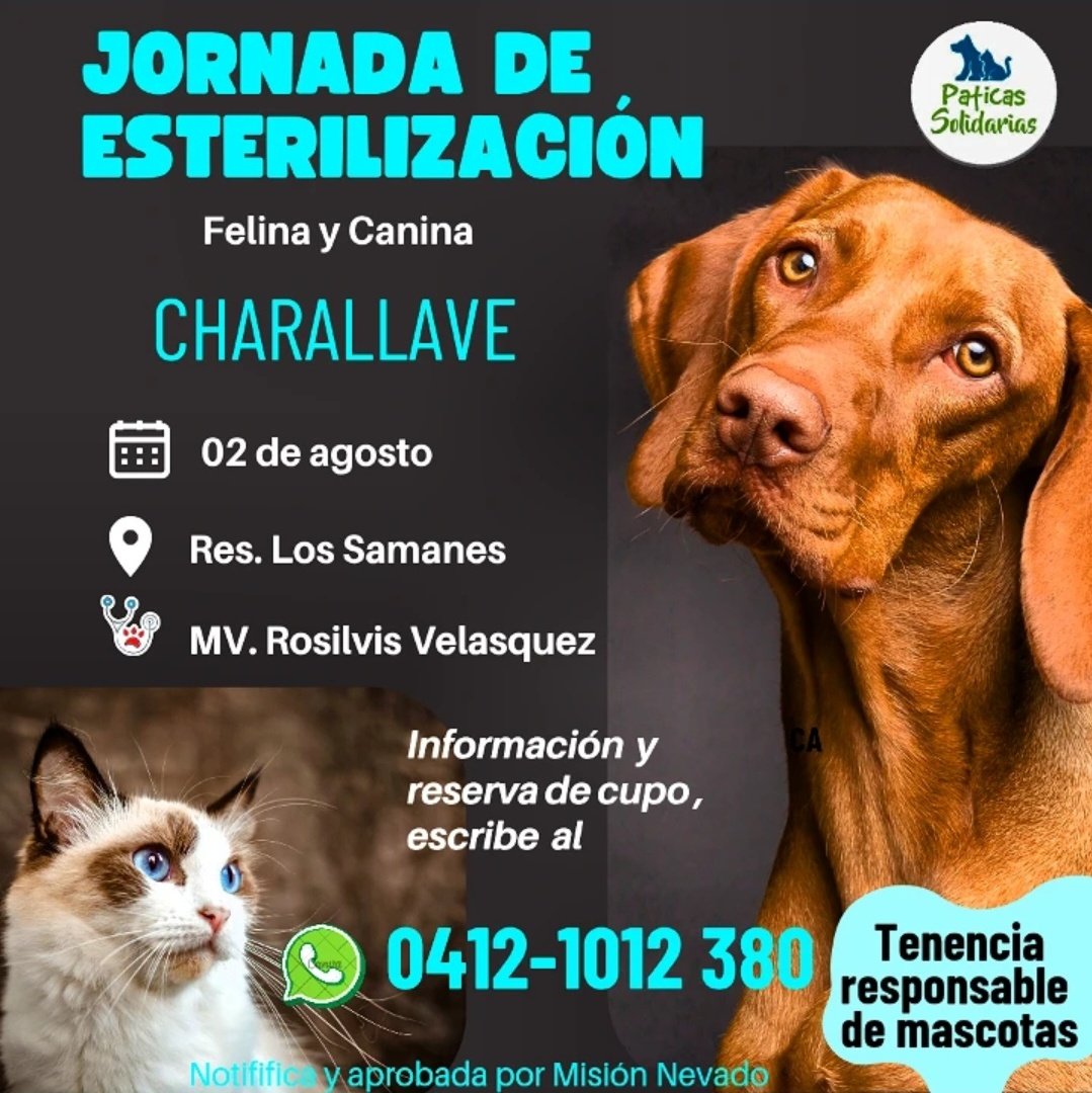 Volvemos a Charallave con nuestra jornada de esterilización 🐕🐈

Es un compromiso  de amor por el bienestar animal, cada vida cuenta , cada mascota  importa. 
💖Más información y reserva de cupo escribe al 📱 0412-1012 380 solo WhatsApp. 
#Charallave #VallesDelTuy