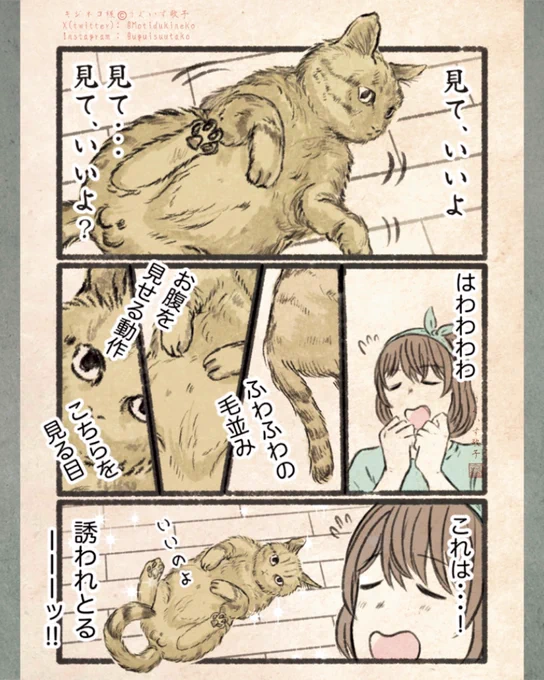 見ても、ええで?(2/3)(3/3) 