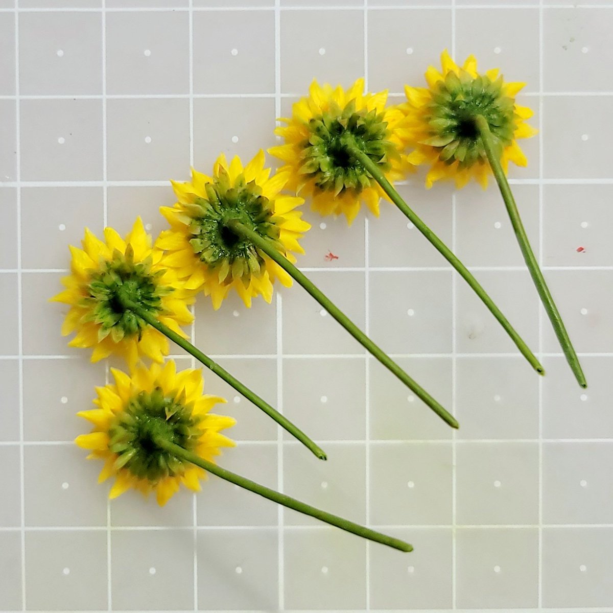 해바라기의 정면도 (당연히)좋지만 측면이랑 뒷면을 정말 좋아해요