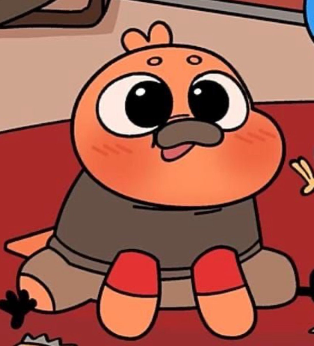 Lil’ pootis tweet media